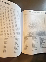 Variety Puzzles by Take-A-Break – Adult Activity Book – 100+ Large Print Puzzles
