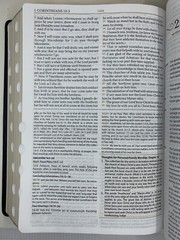 KJV Large Print Study Bible Two-Tone Black/Burgundy Full Grain Leather INDEX 11P