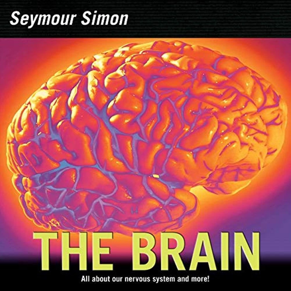 The Brain: All about Our Nervous System and More! – An Informative Picture…