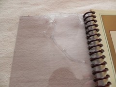 The Buck Book, Things To Do With A Dollar Bill, Anne Akers Johnson