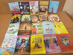 Lot of 100 Chapter INSTANT LIBRARY Children RL 2-6 RANDOM READ UNSORTED BOOK MIX