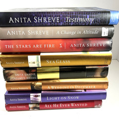 Anita Shreve Novels Fiction Lot of 21 Novels 8 Hardcover 11 Paperbacks