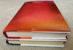 Lot 2 BOMC: Middletide by Sarah Crouch + Famous Last Words by Gillian McAllister