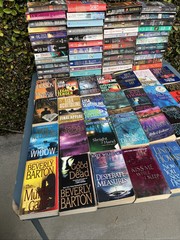 Lot of 20 Random Contemporary Romance and Suspense Novels, Popular Authors