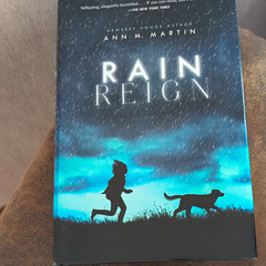 Ann M. Martin Rain Reign Paperback Novel, Juvenile Fiction (Feiwel & Friends)