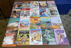 Lot of 60 Chapter Books For 1st 2nd 3rd Grade Readers Ages 6-10 Huge Variety