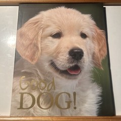 Good Dog Large 12 X 9-1/2 inch Dog Breed Picture Book w/ Center Puppy Fold Out