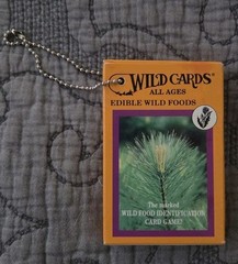 U S Games Systems Inc Edible Wild Foods Playing Card (Hardback)
