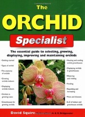The Orchid Specialist (Specialist Series) By David Squire