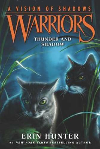 Warriors: A Vision of Shadows #2: Thunder and Shadow – Paperback – GOOD