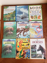 Lot of 9 Children’s books ~ Sea Animals, Wild Animals, Horses, etc