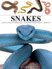 Snakes: From Vipers to Boa Constrictors (Mini Encyclopedias) – Photopoulos, …