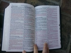 Cowhide KJV Bible ~ standard size ~Thumb Indexed ~ Genuine Leather ~ Red Letter