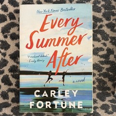 Beach Read Fiction Books 3 | Every Summer After, Summertime Guests, Heart Mender