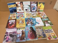 Lot of 100 Chapter INSTANT LIBRARY Children RL 2-6 RANDOM READ UNSORTED BOOK MIX