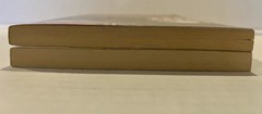 Lot Of 2 Broken Sky Series Books Chris Wooding An Action Fantasy #4&5 Scholastic