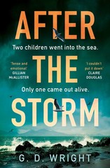 After the Storm: Loved by Claire Douglas, Lisa Jewell and Gillian McAllister…