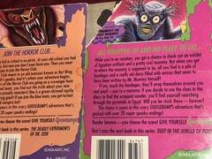 R.L. STINE GOOSEBUMPS LOT 17 BOOKS USED PRE OWNED PRE LOVED (READ DESCRIPTION) !