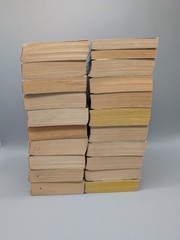 Lot Of 21 VC Andrews Paperback Books Various Series Mix