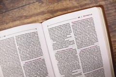 NRSVue, Holy Bible, Compact, Leathersoft, Brown, Comfort Print