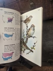 Birds Golden Nature Guide Book 1956 Paperback Vintage Pocket Book American Birds