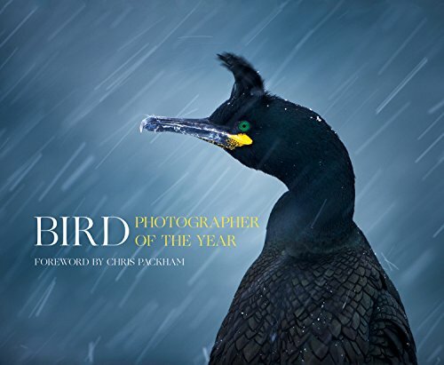 Bird Photographer of the Year by Bird Photographer of the Year Book The Fast