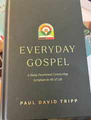 Paul David Tripp Everyday Gospel Christmas Devotional (Paperback)