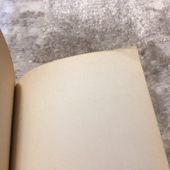 The Penguin Book Of Japanese Verse Geoffrey Bownas Anthony Thwaite 1972 Book