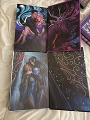 FairyLoot The Wicked Sea, Bitten, King of Ravens & Bookish Box Kiss of Iron