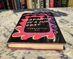 Madonna in a Fur Coat – Sabahattin Ali (Hardcover) Penguin Classics 1st Print VG