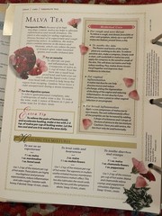 The Complete Guide to Natural Healing 1 Binder Sections 1-13 300+ Cards – USED