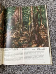 The World We Live In. Time-Life staff. Hardcover 1955. Very large, illustrated.