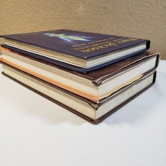 The Sea Of Monsters & Rick Riordan The Demigod Files Disney Percy Jackson