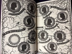 Fairyloot 2025 Exclusive Bitten by Jordan Stephanie Gray, Signed