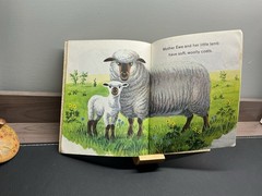 Little Golden Books Animals on the Farm HC Illustrated Ages 4-8
