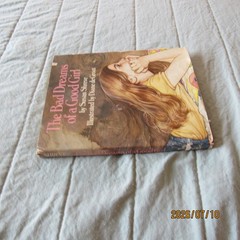 The Bad Dreams of a Good Girl-Susan Shreve-Diane deGroat-HC-DC-1982-Alfred Knopf