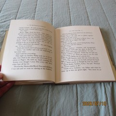 The Bad Dreams of a Good Girl-Susan Shreve-Diane deGroat-HC-DC-1982-Alfred Knopf