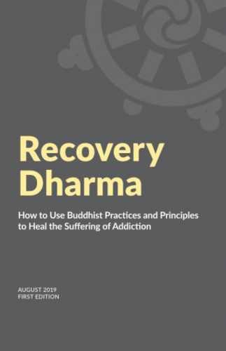 Recovery Dharma: How to Use – Paperback, by Recovery Dharma – Very Good c