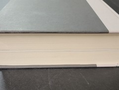 1929 INSIDE THE GREATEST CRASH WALL STREET by A.R. Sorkin (2025, HCDJ) LIKE NEW