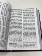 NIV Reference Bible Red Letter Edition Giant Print Pink/Brown Zondervan