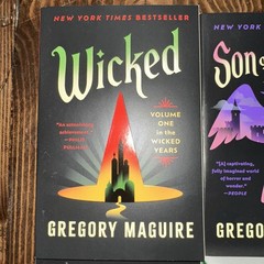 The Wicked Years by Gregory Maguire 4 Book Set
