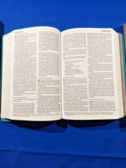 HCSB Essential Teen Study Bible Coral Flower Blue