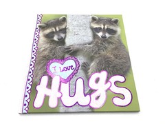 I Love Hugs by Camilla de la Bedoyere Paperback New