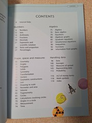 Illustrated Dictionary of Math by Tori Large Usborne (2007, Trade Paperback)