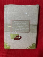 STRENGTH FOR TODAY FOR TEEN GIRLS * 365 Devotions * Zip around closure * NEW