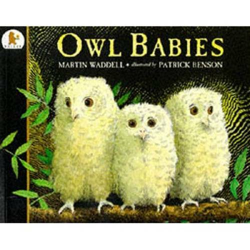 Owl Babies – Paperback By Waddell, Martin – GOOD