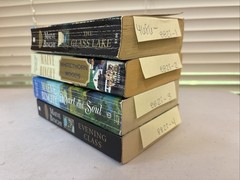 Lot of 4 – Maeve Binchy – Fiction – Paperback – Free Shipping