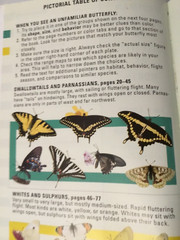 Kaufman Field Guide to Butterflies of North America Kaufman VG Softcover Book