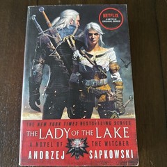 The Lady of the Lake (The Witcher) – Paperback By Sapkowski, Andrzej – GOOD