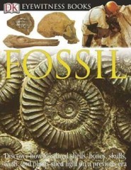 DK Eyewitness Books: Fossil – Hardcover By Taylor, Paul – GOOD
